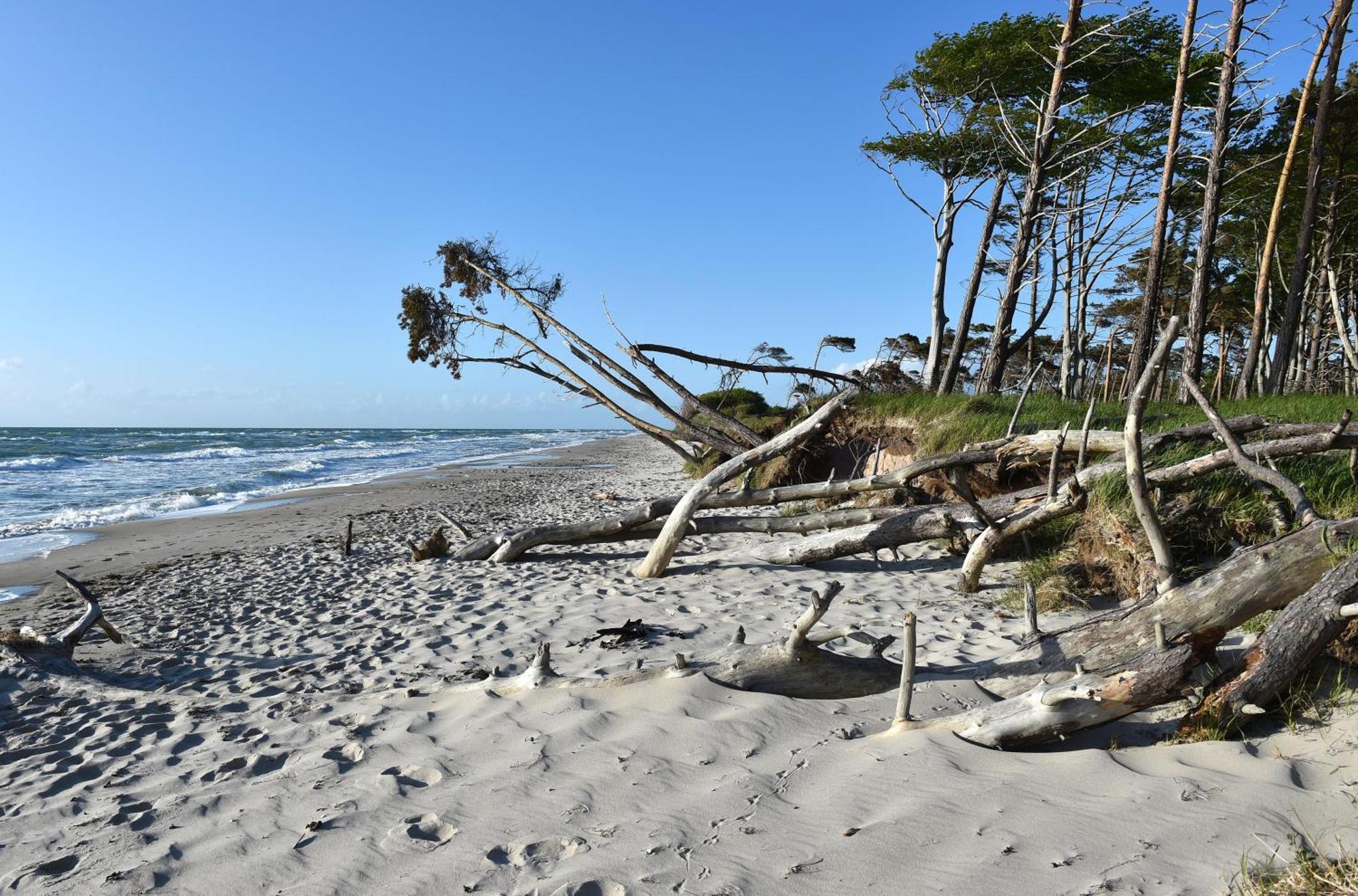 Strand Zingst Exteriér fotografie